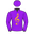 Torque To Be Sure silks