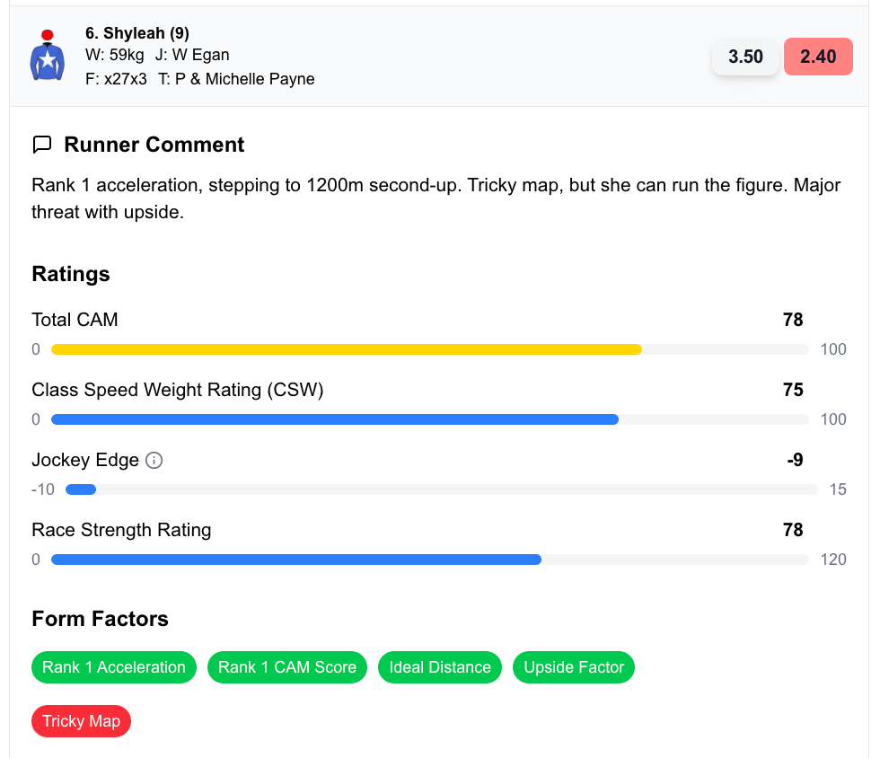 Feature: RUNNER COMMENTS